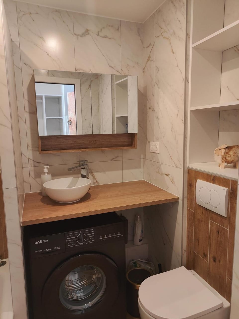 Toilet, Bathroom