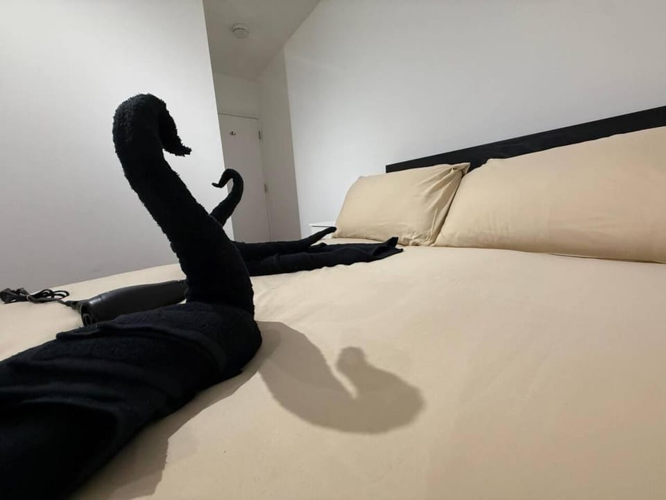 London Clapham Room - Local House in London