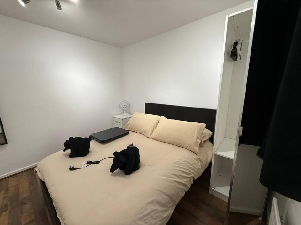 London zone2 room near Battersea House in London