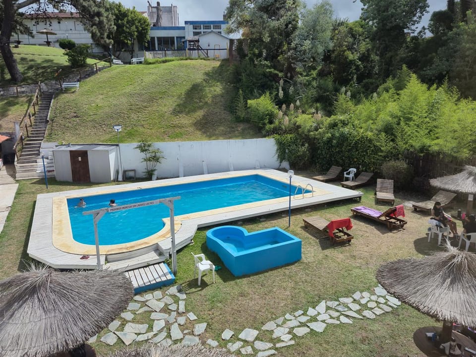 Garden, Garden view, Pool view, Swimming pool, Swimming pool, sunbed