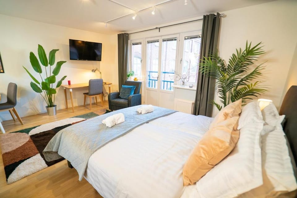 Bed, TV and multimedia, Living room, Photo of the whole room, Seating area, Bedroom