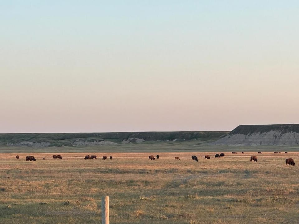 Buffalo Drift Tiny Home House in South Dakota