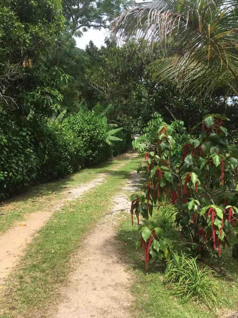 Day, Natural landscape, Bird's eye view, Cycling, Garden view, pet friendly