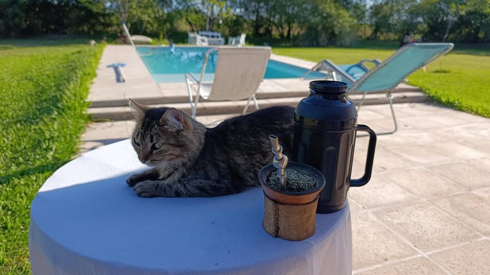 posada El descanso Bed and Breakfast in Corrientes Province, Argentina