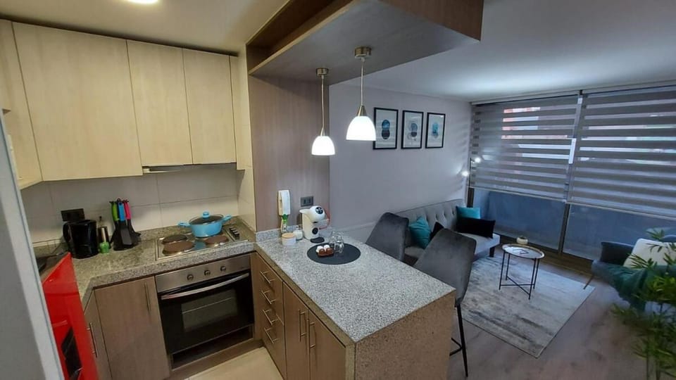 Departamento céntrico con estacionamiento Apartment in Bio Bio, Chile