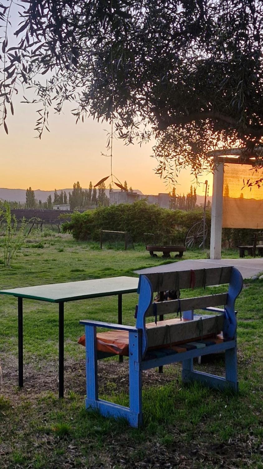 Off site, Garden, Sunset