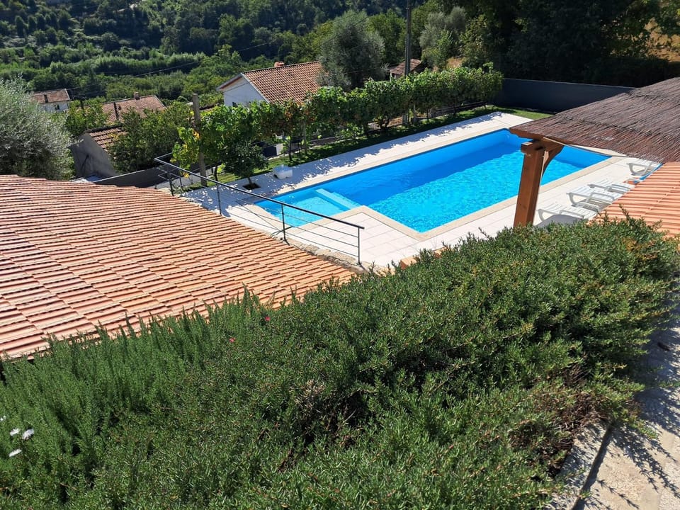 Garden, Pool view, Swimming pool, sunbed