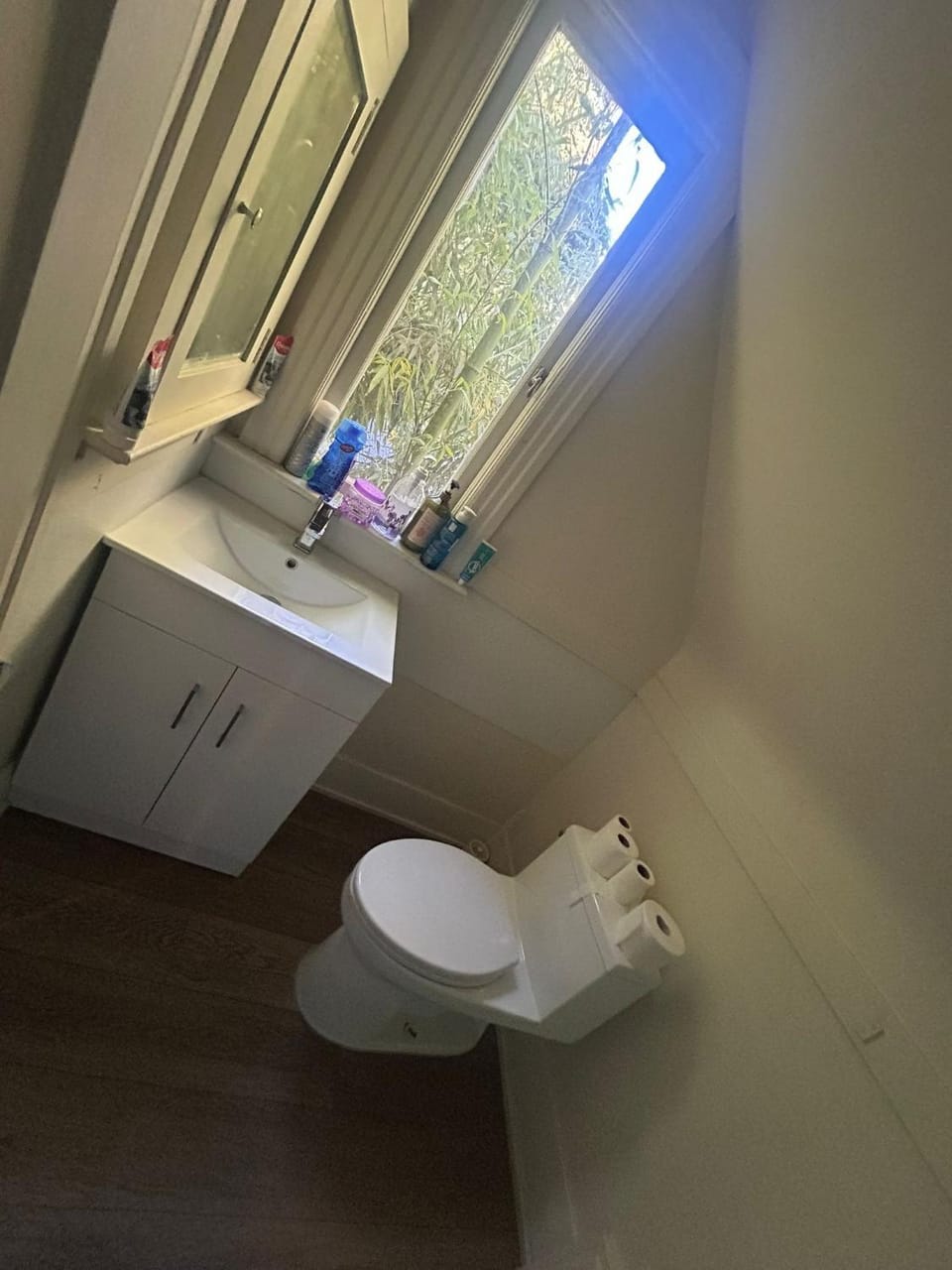 Toilet, Bathroom
