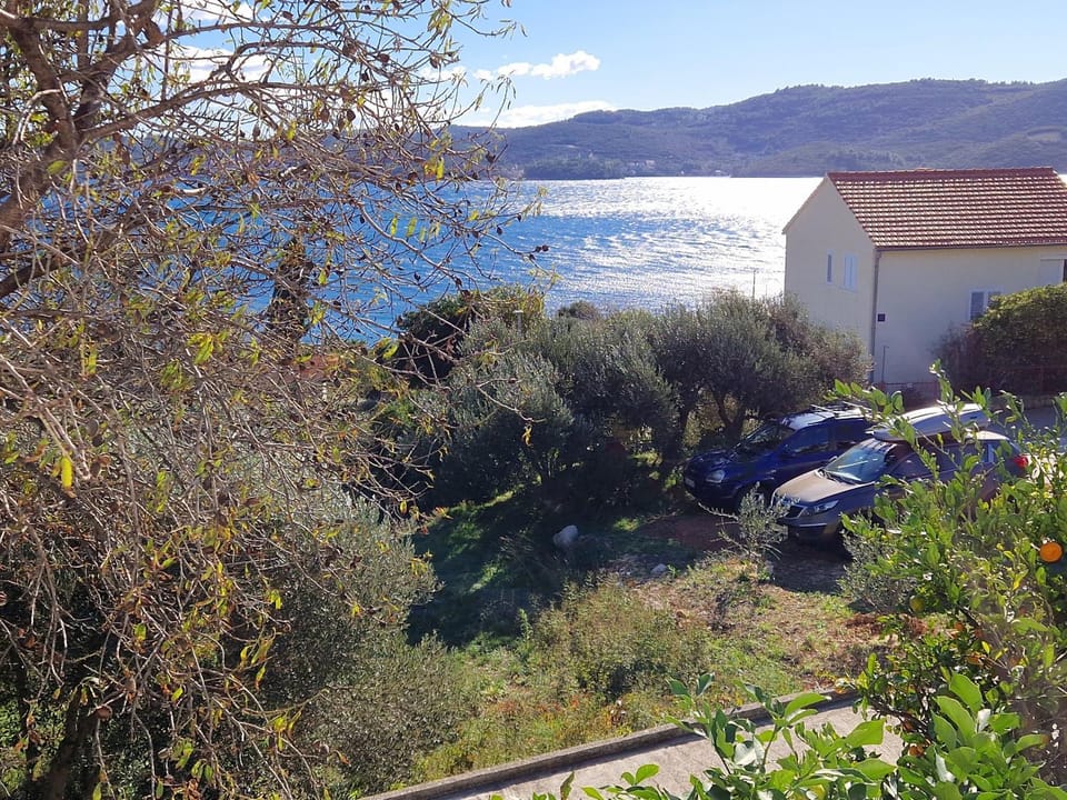 Lake view