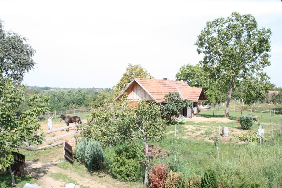 Bird's eye view, View (from property/room)