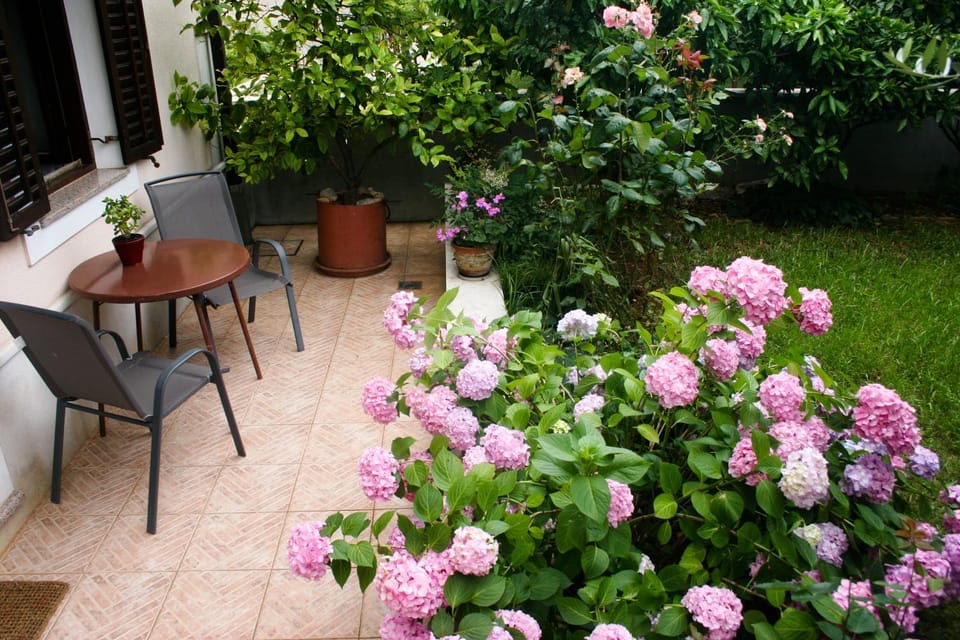 Garden, Balcony/Terrace