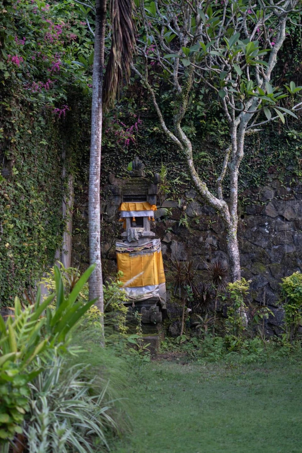 Natural landscape, Garden view