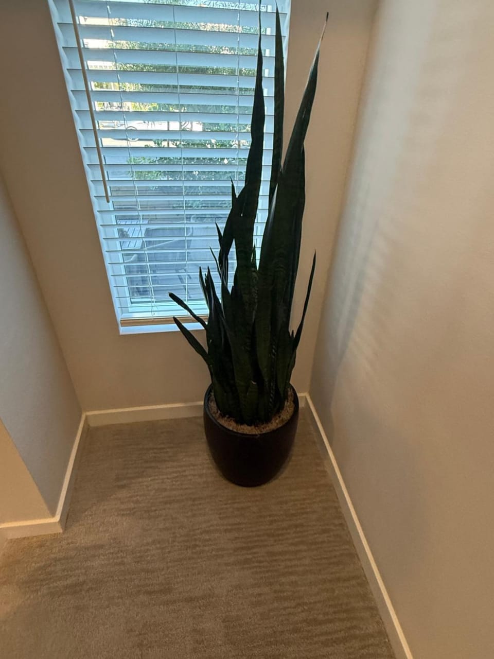 三楼两房两卫近市中心交通便利步行可达商圈适合家庭 Vacation rental in Eastvale