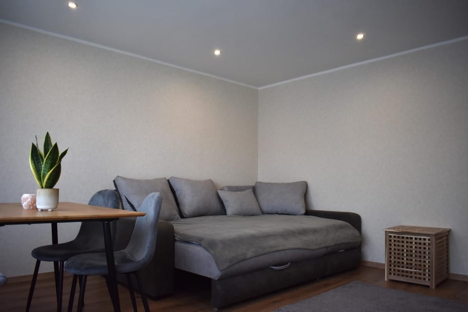 Apartment near the airport Apartment in Riga
