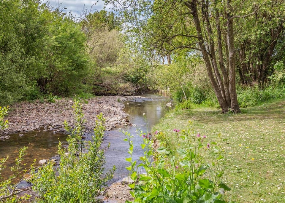 Natural landscape, Garden, River view