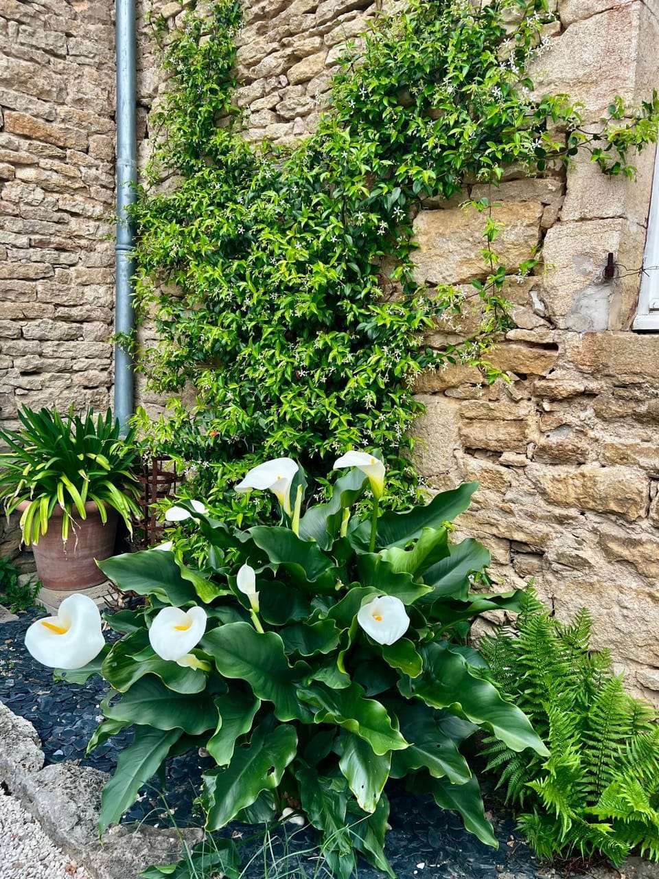 La Ferme de la Bergerie Bed and Breakfast in Bourgogne-Franche-Comté