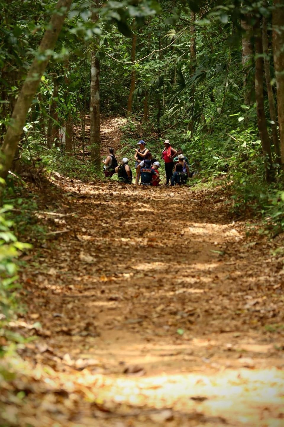 Natural landscape, Activities, Hiking, Mountain view