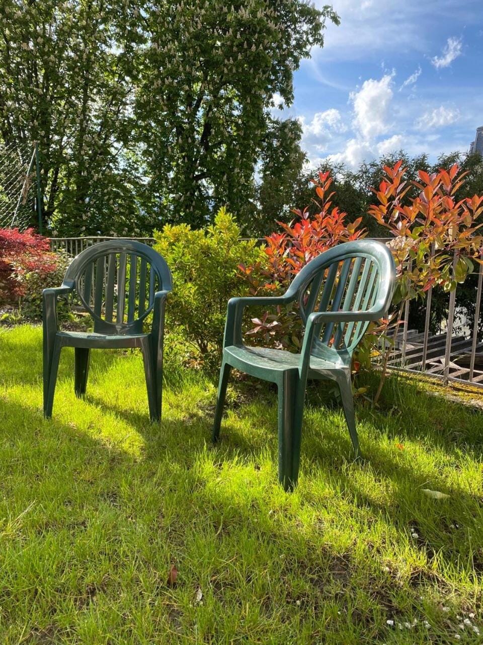 Spring, Day, Natural landscape, Garden, Garden, Garden view