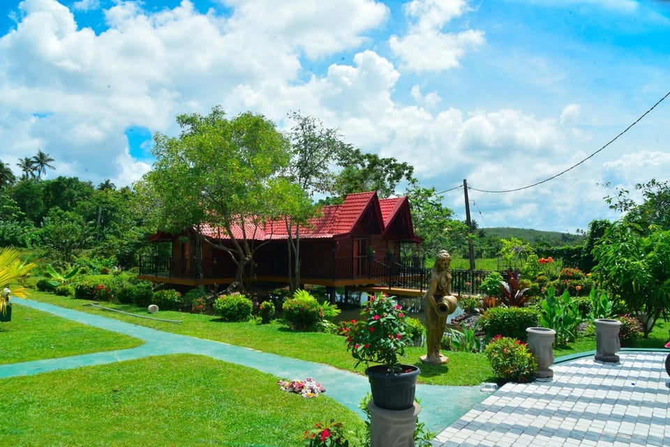 Natural landscape, Garden