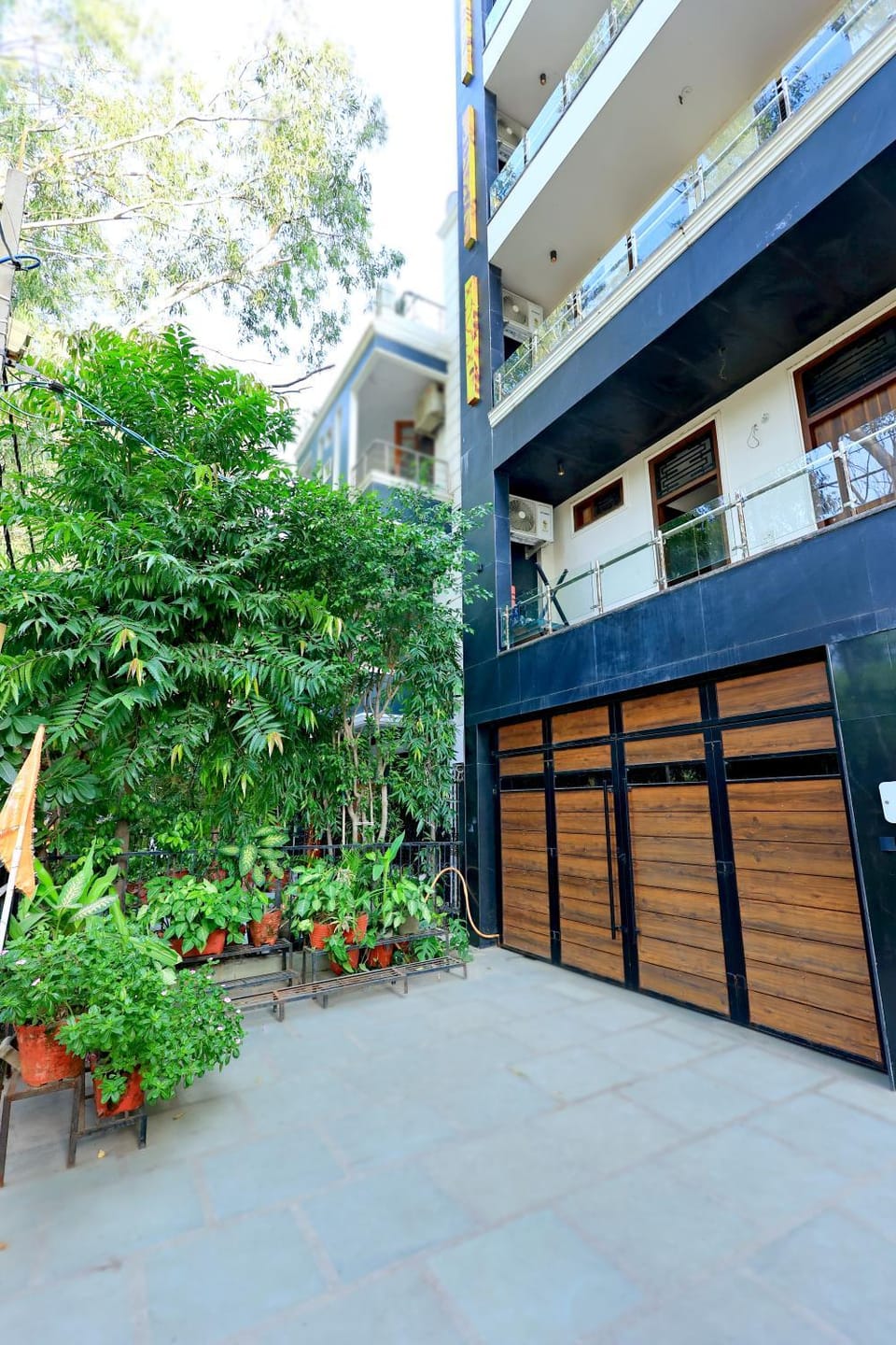 Garden view
