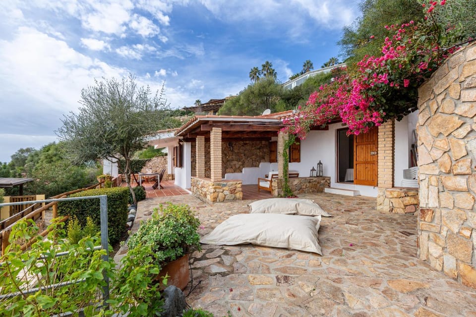 Patio, Garden