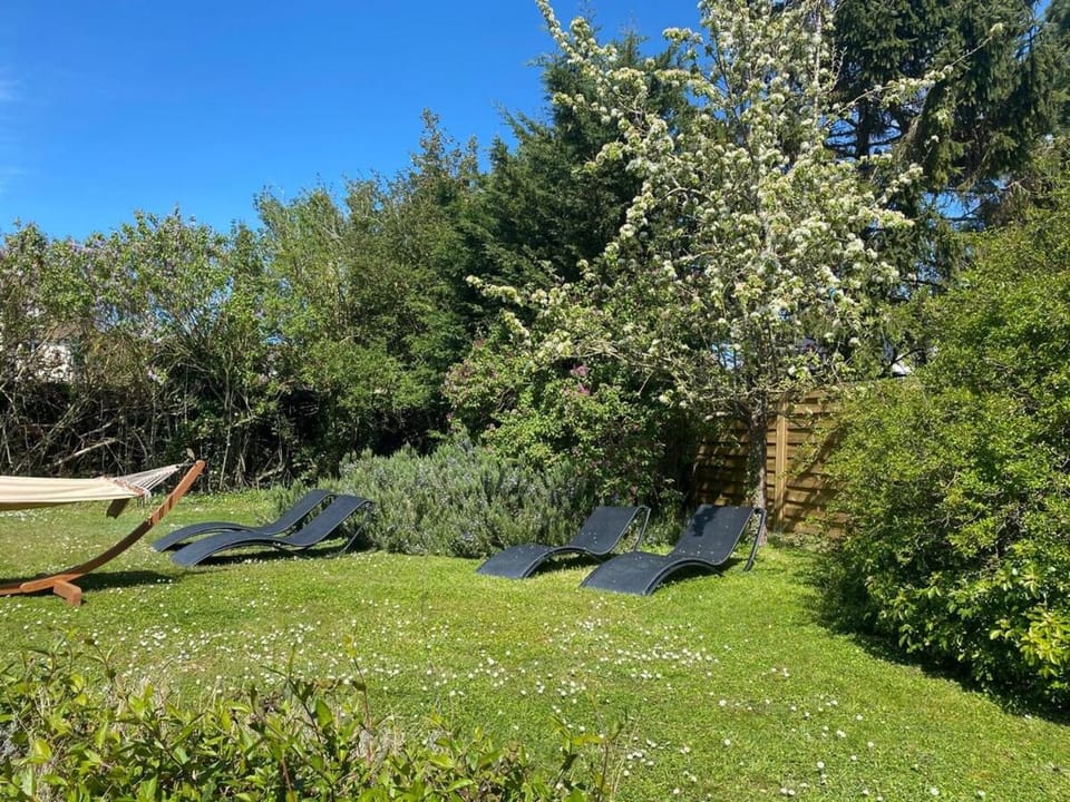 Spring, Day, Natural landscape, Garden, Garden view