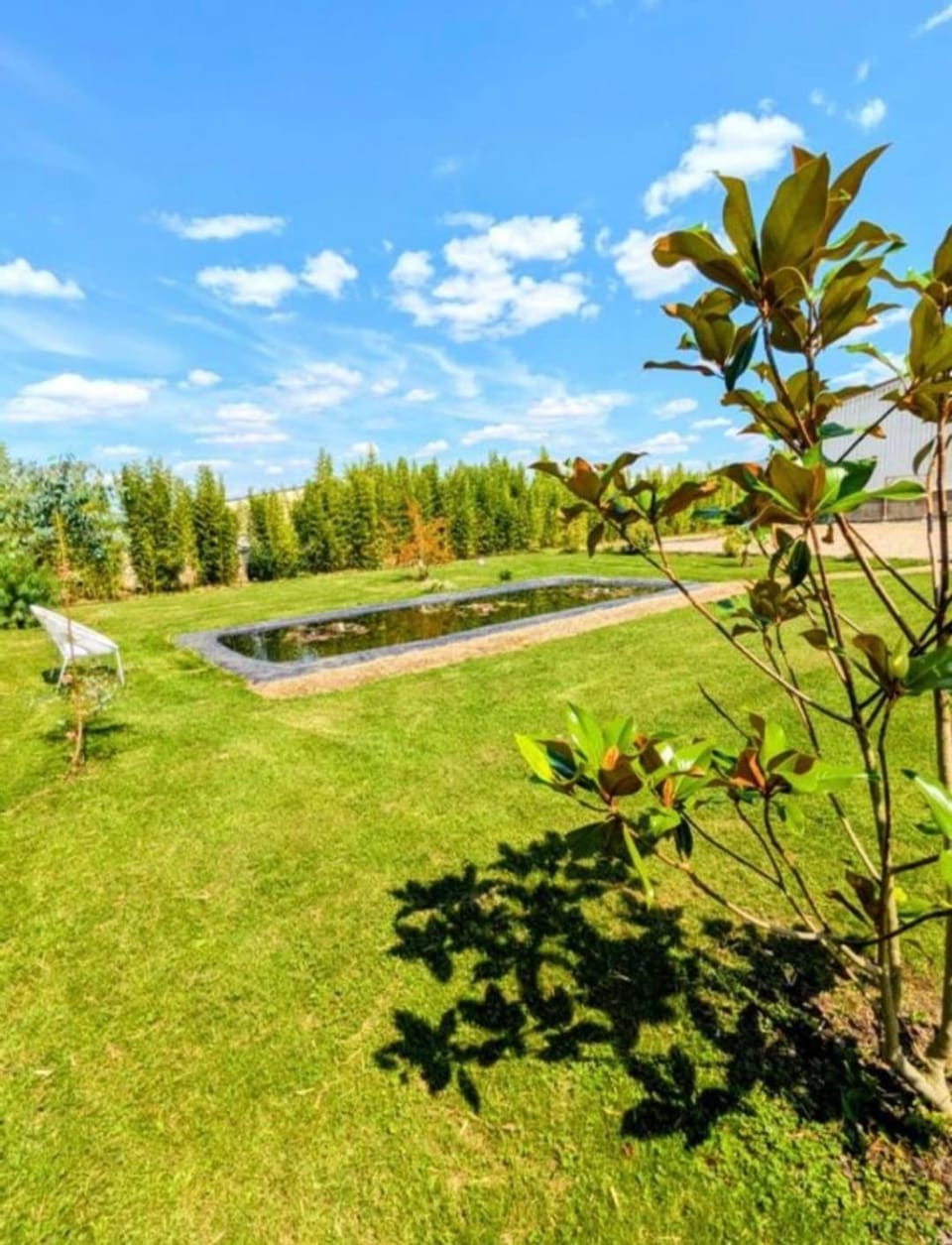 Natural landscape, Garden, Garden view