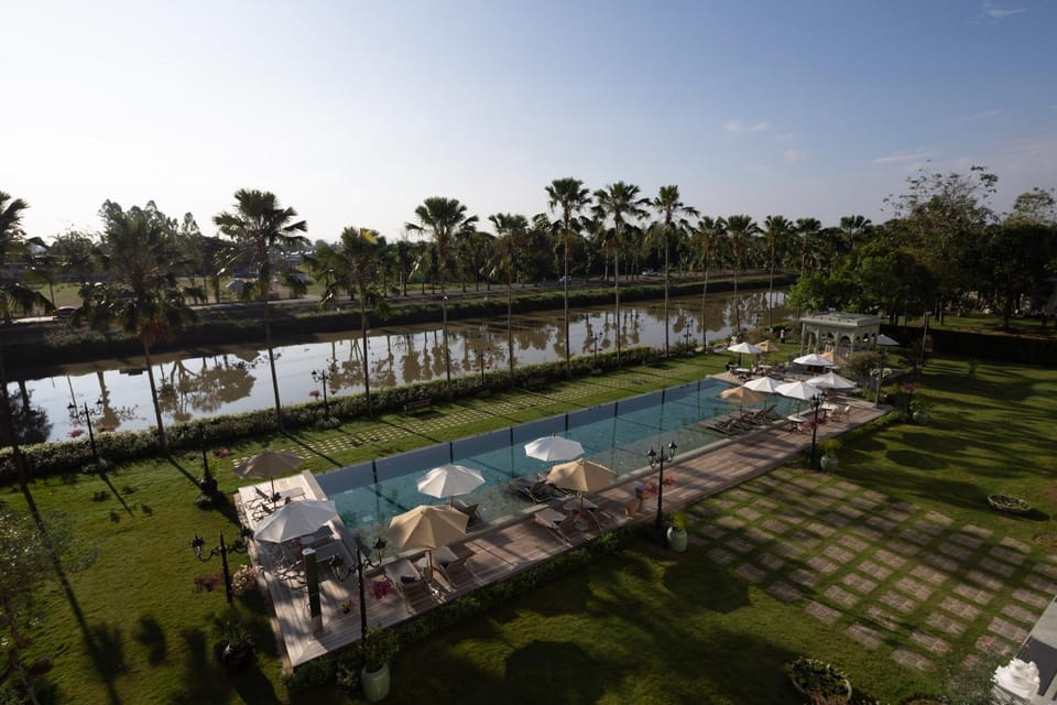 Natural landscape, Garden, Garden view, Swimming pool