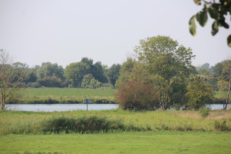 Spring, Day, Natural landscape, River view