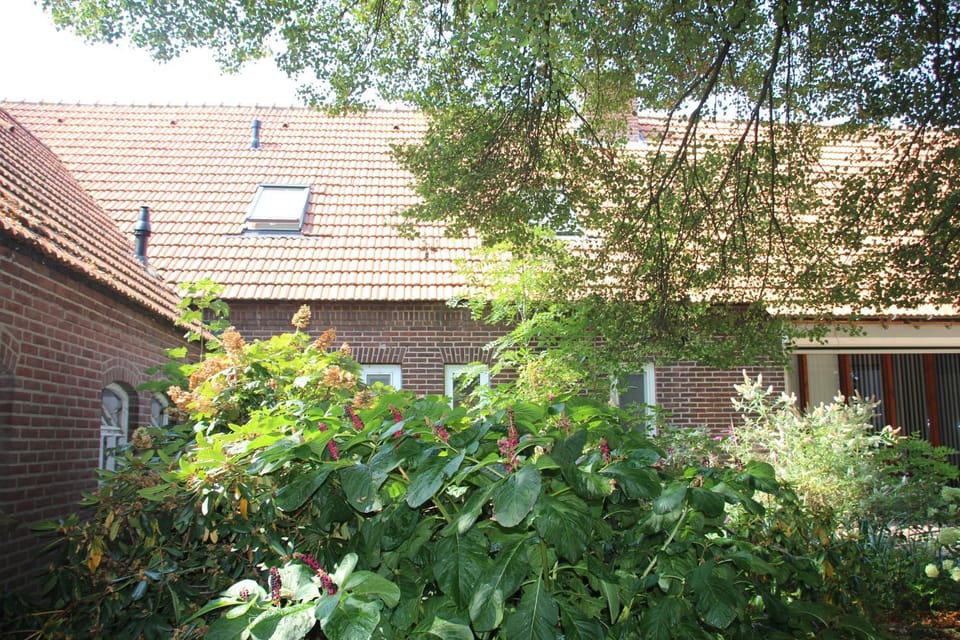 Property building, Day, Garden