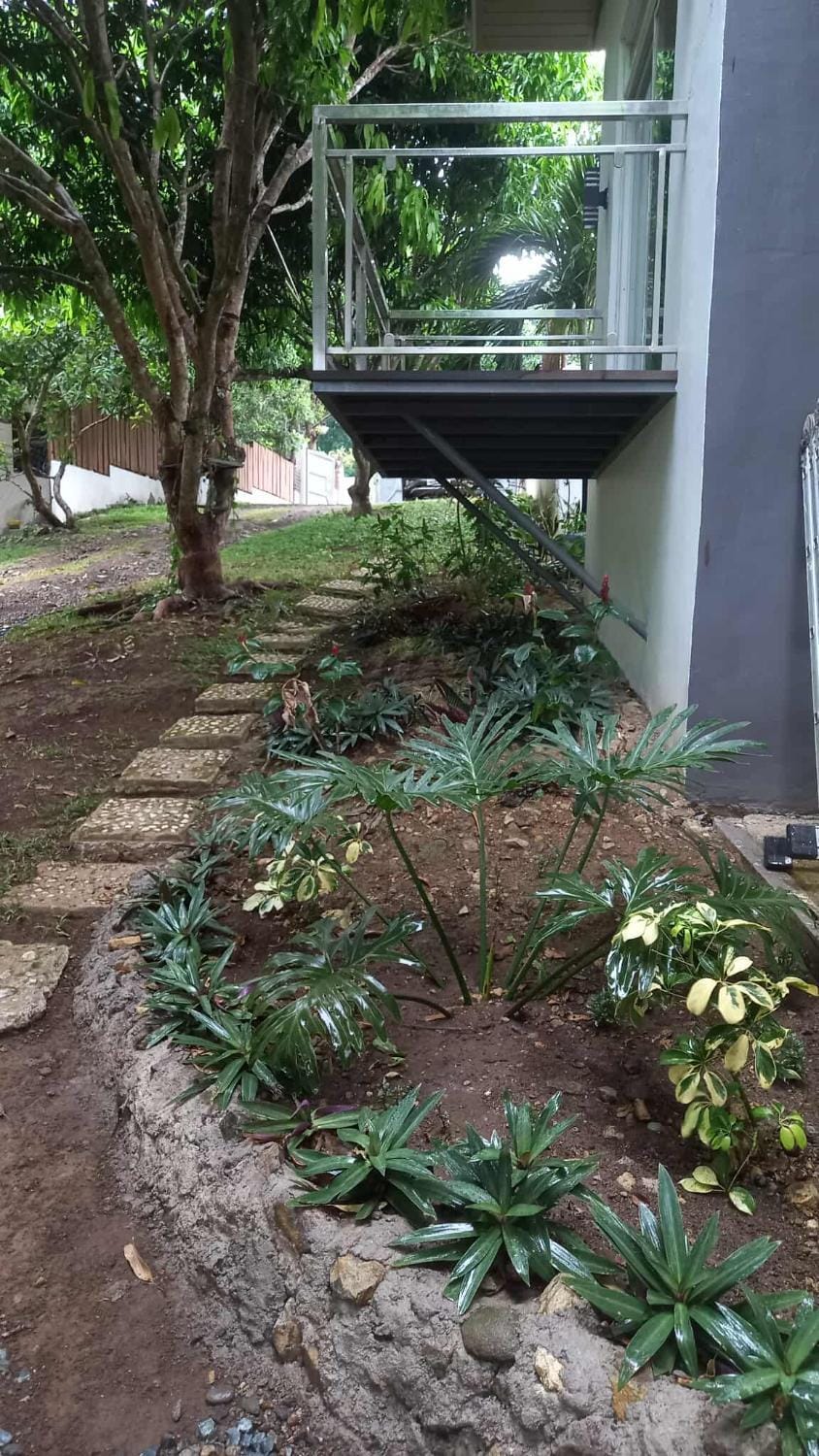 Garden view