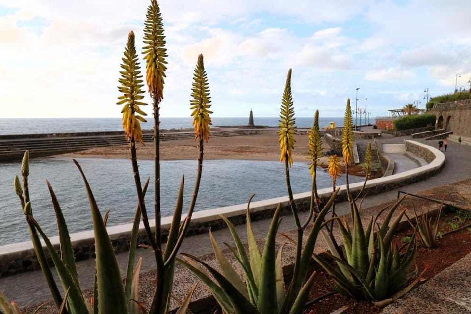 Achimencey apartment in Bajamar Apartment in Canary Islands