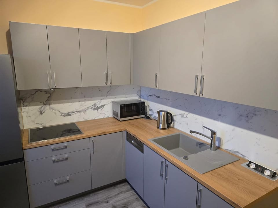 Kitchen or kitchenette, dishwasher, stove