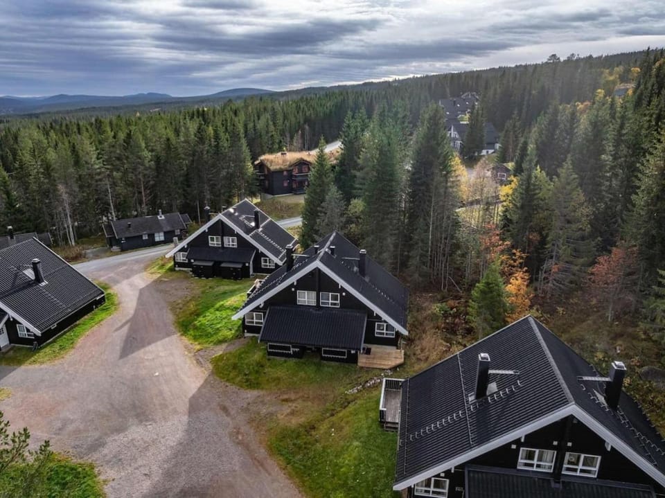 AB38- Large family cabin on Alpingrenda close to the slopes Cabin in Innlandet