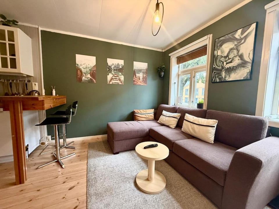 Rustic Retreat Apartment, Central & free parking ! Apartment in Trondheim