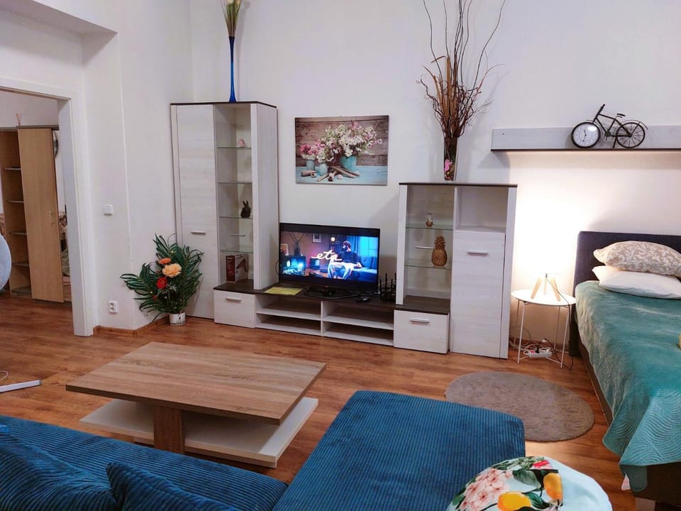 Bed, TV and multimedia, Living room, Photo of the whole room, Seating area, Bedroom
