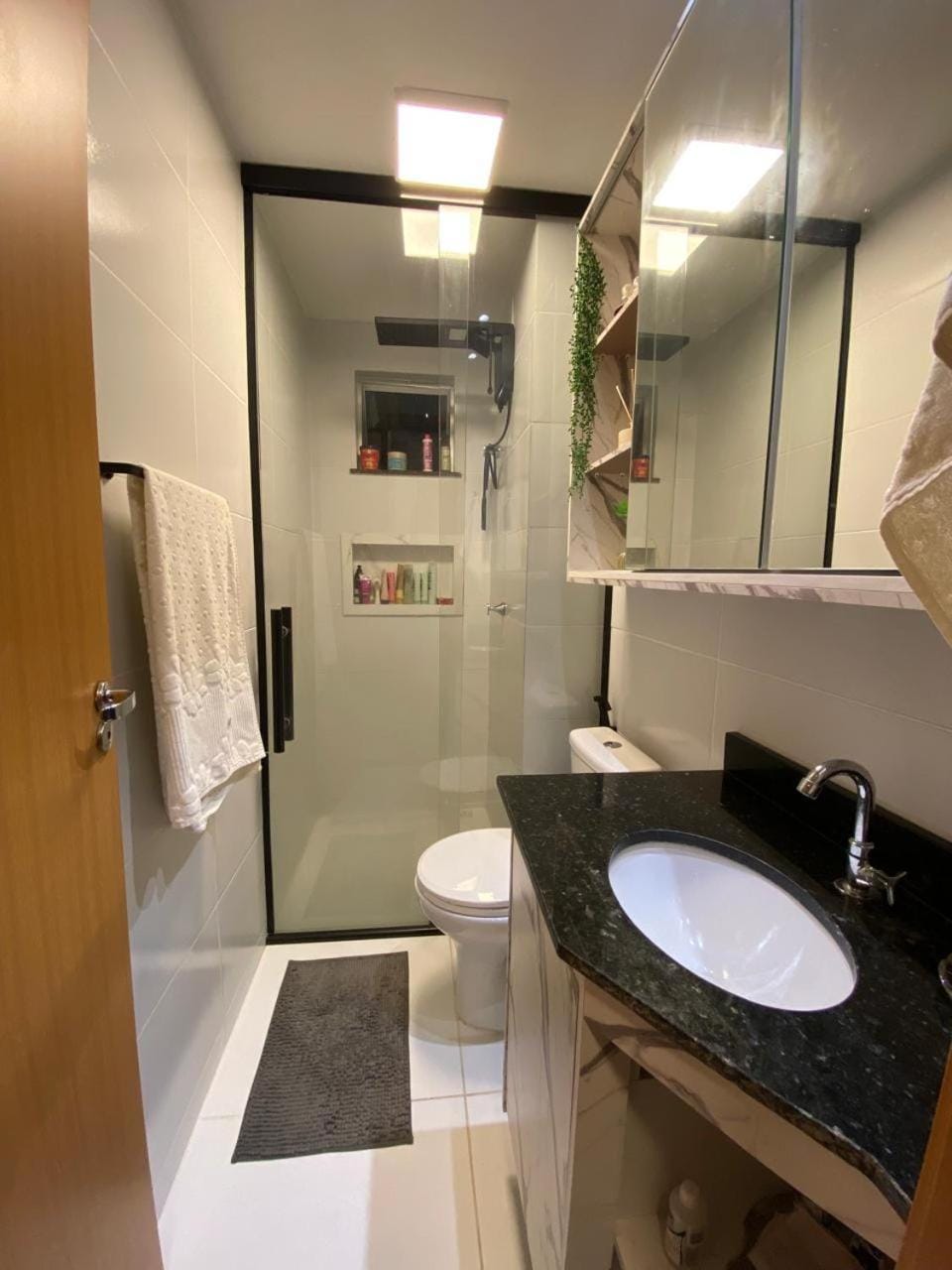 Shower, Toilet, towels