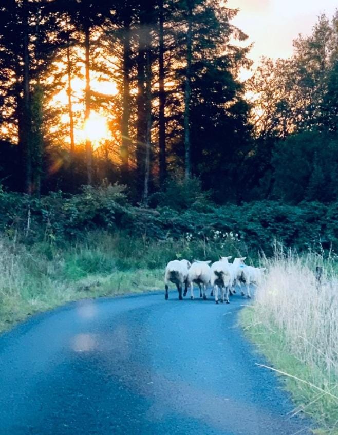 Carrowkeel Cottage House in County Clare