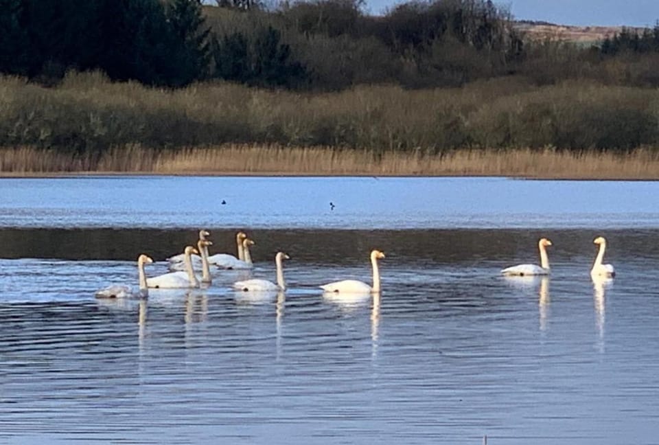 Carrowkeel Cottage House in County Clare