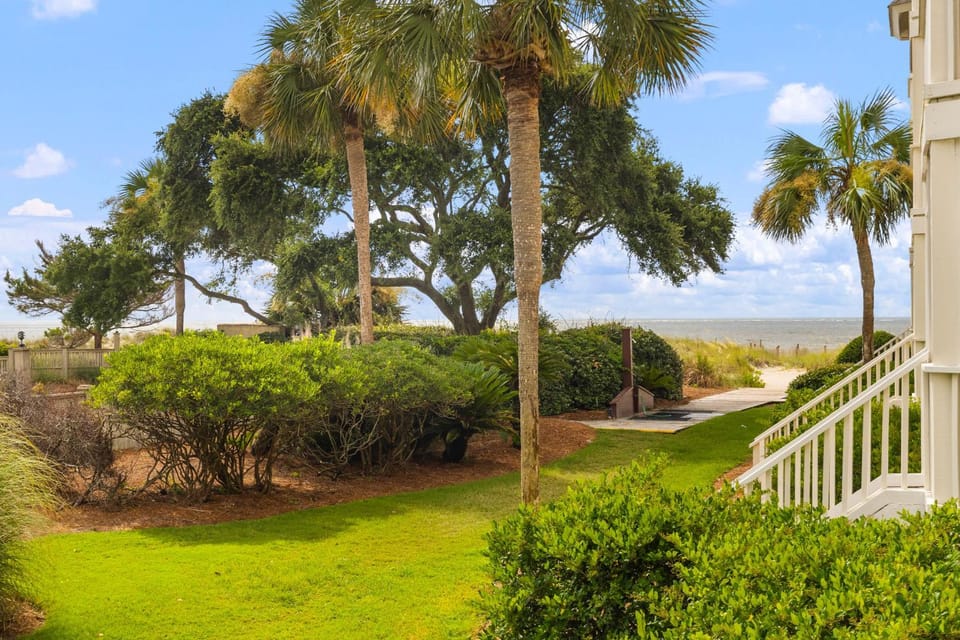 Garden view