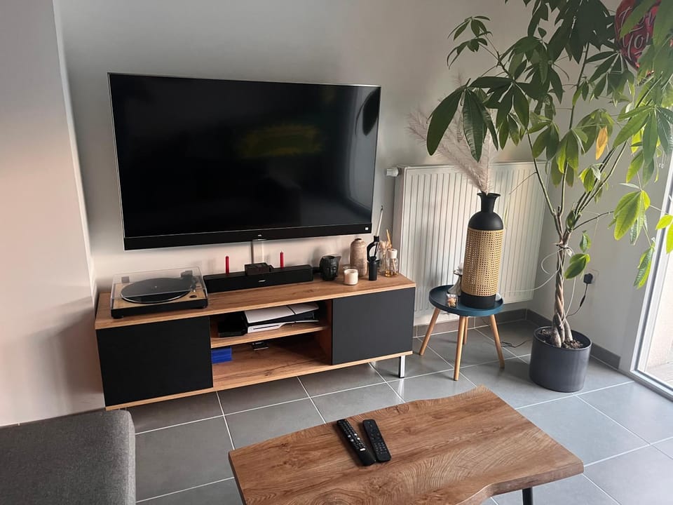 TV and multimedia