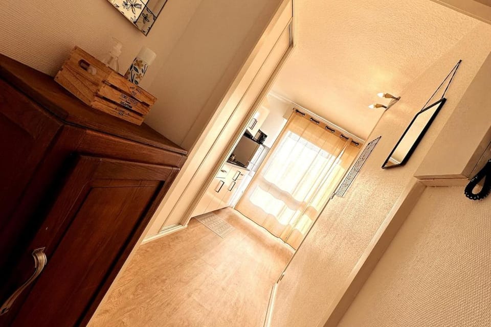 Lion - Centre-ville - MA CONCIERGERIE Apartment in Switzerland