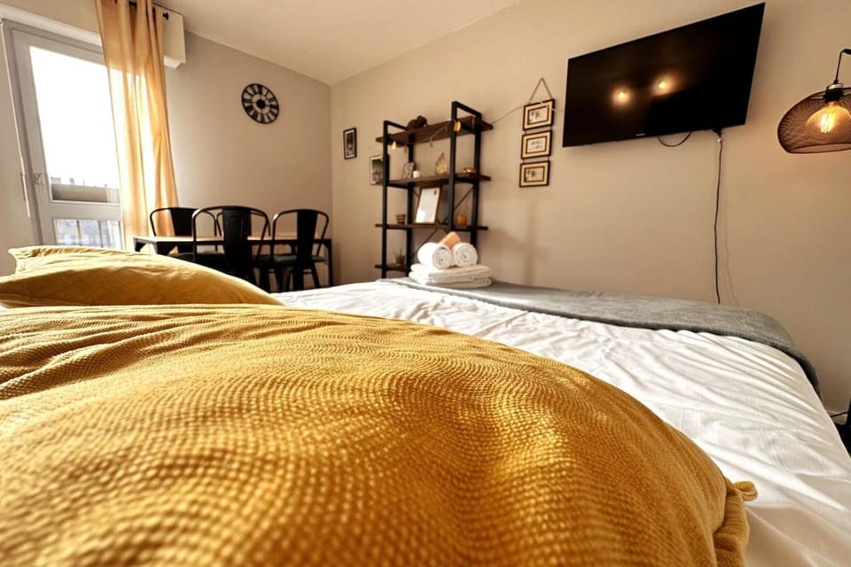 Lion - Centre-ville - MA CONCIERGERIE Apartment in Switzerland