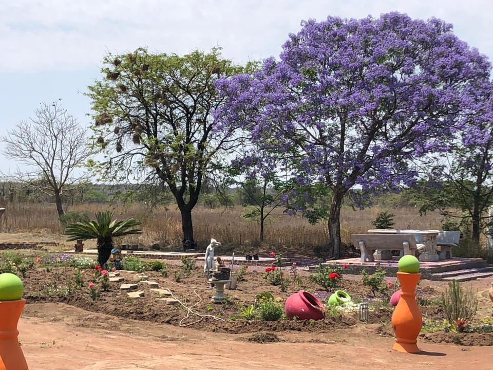 Horizon small holding Villa in South Africa