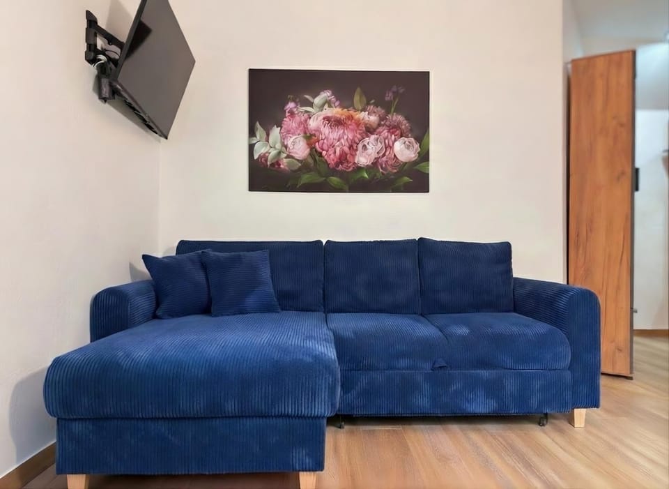TV and multimedia, Photo of the whole room, Seating area, Dining area