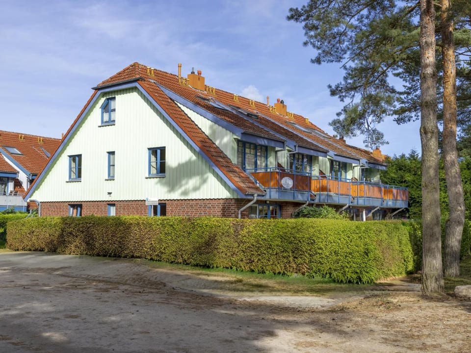 Property building, Summer
