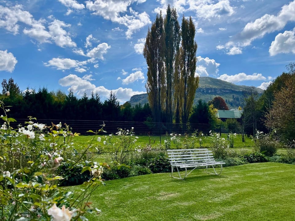 Natural landscape, Garden, Garden view