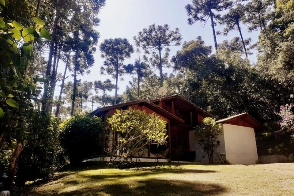 Day, Natural landscape, Garden, Garden view
