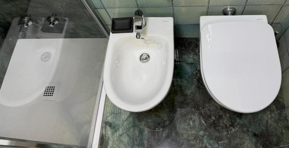 Shower, Toilet, Bathroom, bidet