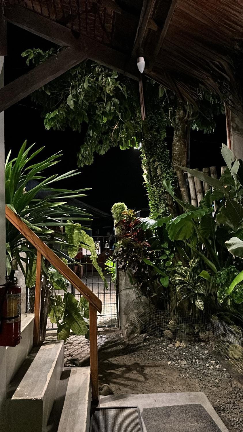 Natural landscape, Garden, Garden view